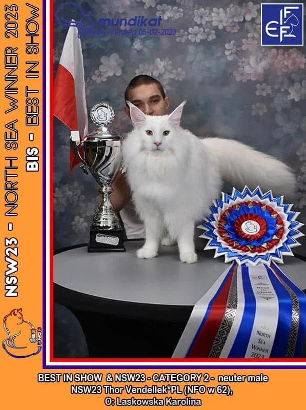 Thor North Sea Winner 2023